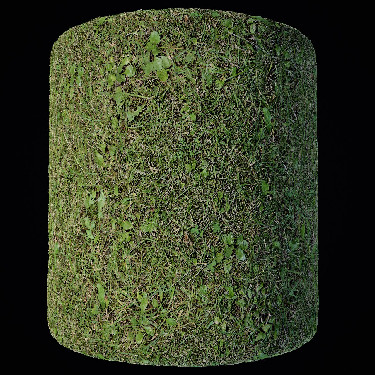 PBR Grass material