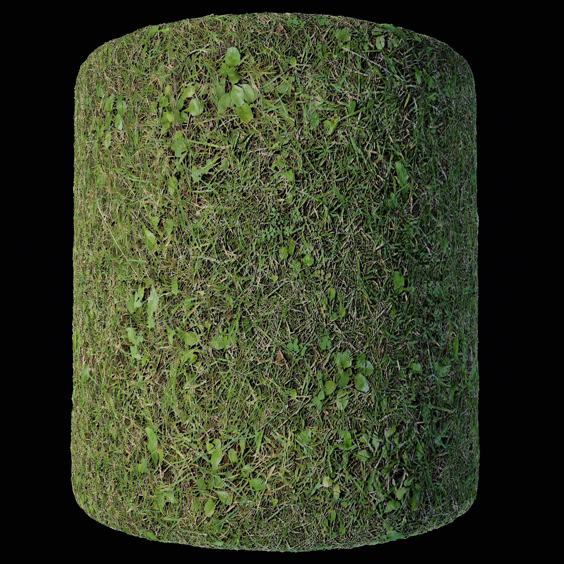 PBR Grass Material